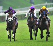 Lizarre (Purple and Black cap) scores a briliant win in the Admiralty Classic Stakes.<br>Photo by Singapore Turf Club
